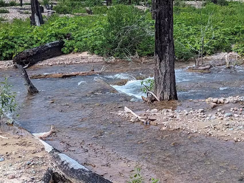 Bob Marshall Wilderness Outfitters