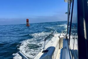 Bodega Bay Whale Charters