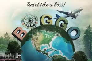 Boggo Tours