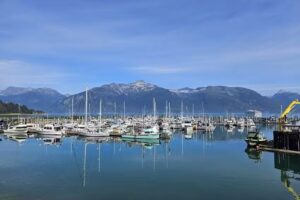 Boise Travel Agent, LLC