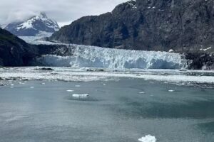 Bon Voyage Boutique Travel, LLC