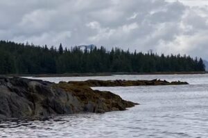 Bonfire Bay Tour Company