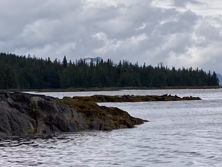 Bonfire Bay Tour Company