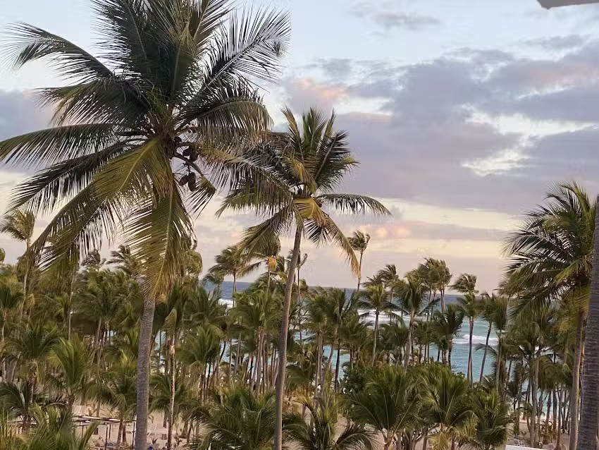 Boscov&rsquo;s Travel