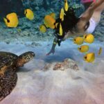 Boss Frog’s Snorkel, Bike & Beach Rentals