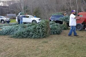 Boyd Mountain Log Cabins