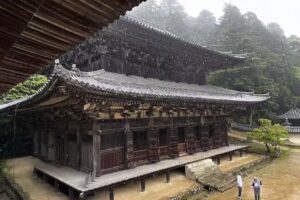 Brando’s Fun N’ Sun Travel & Cruise/Avoya Travel