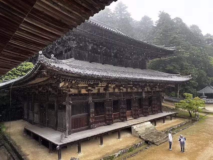 Brando’s Fun N’ Sun Travel & Cruise/Avoya Travel