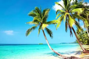 Brazos River Fun Advisors