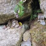 Bretton Woods Vacations