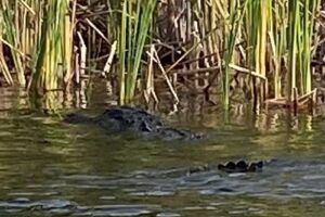 Brian & Sheri Etterling – Dream Vacations