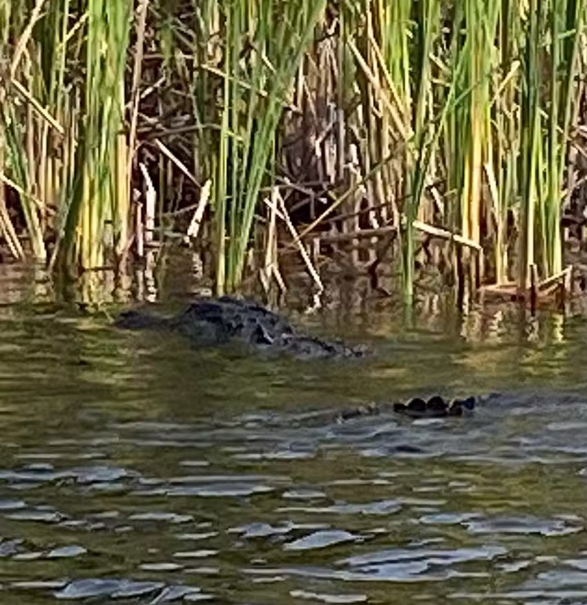 Brian & Sheri Etterling &ndash; Dream Vacations