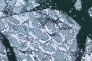 Bridge Timeline & Restrooms