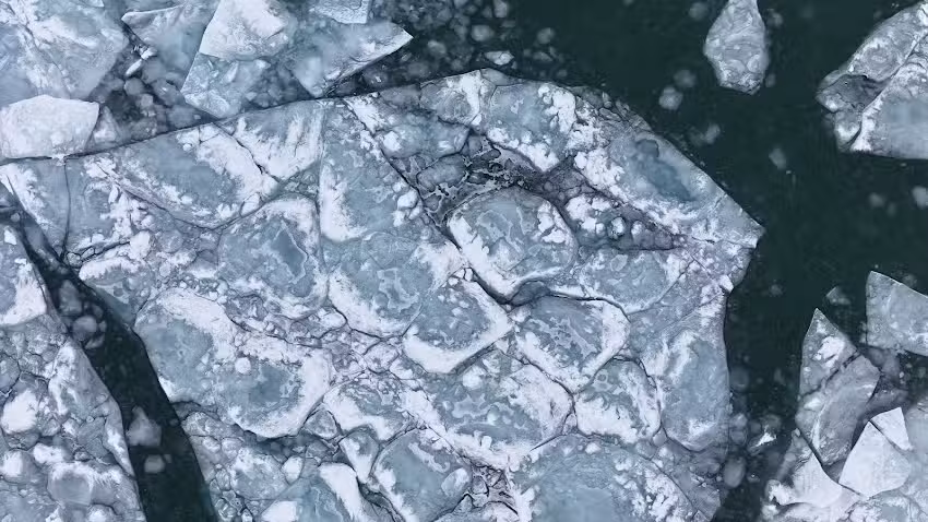 Bridge Timeline & Restrooms