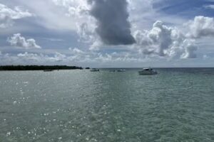 Brightwild Adventures