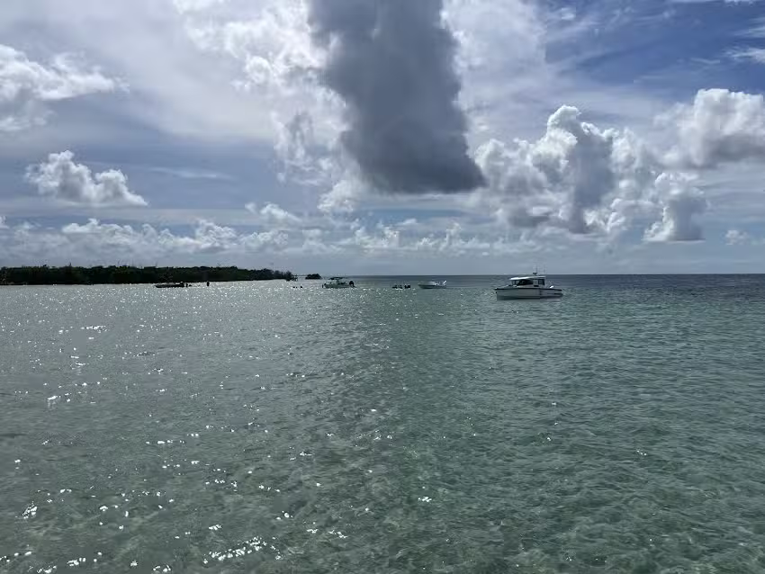 Brightwild Adventures