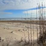 Brindley Beach Vacations & Sales