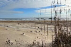 Brindley Beach Vacations & Sales