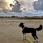 Brindley Beach Vacations & Sales