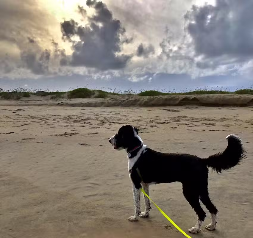 Brindley Beach Vacations & Sales