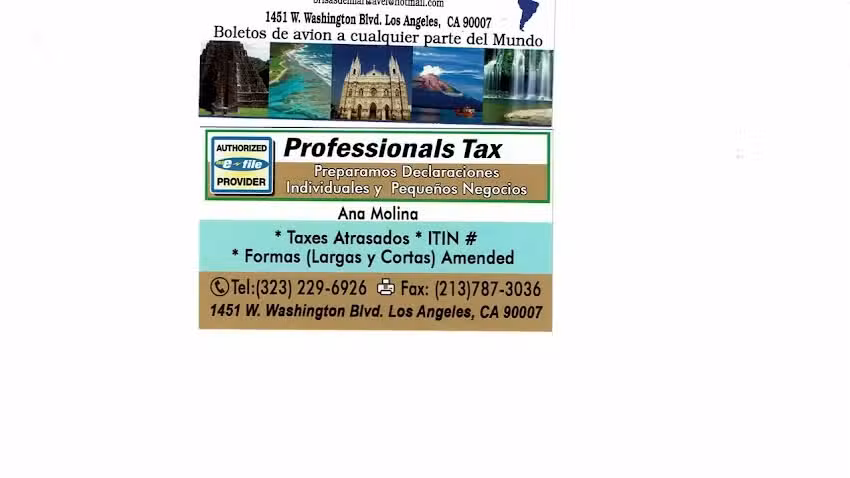 BRISAS DEL MAR TRAVEL AND INCOMETAX