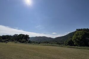 Broadwing Farm Cabins