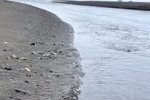 Brookings Welcome Center – Travel Oregon