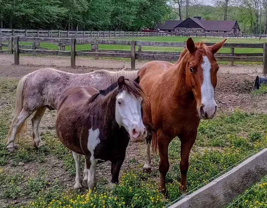Brown County State Park Saddle Barn