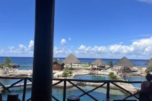 Brown&rsquo;s Travel Agency