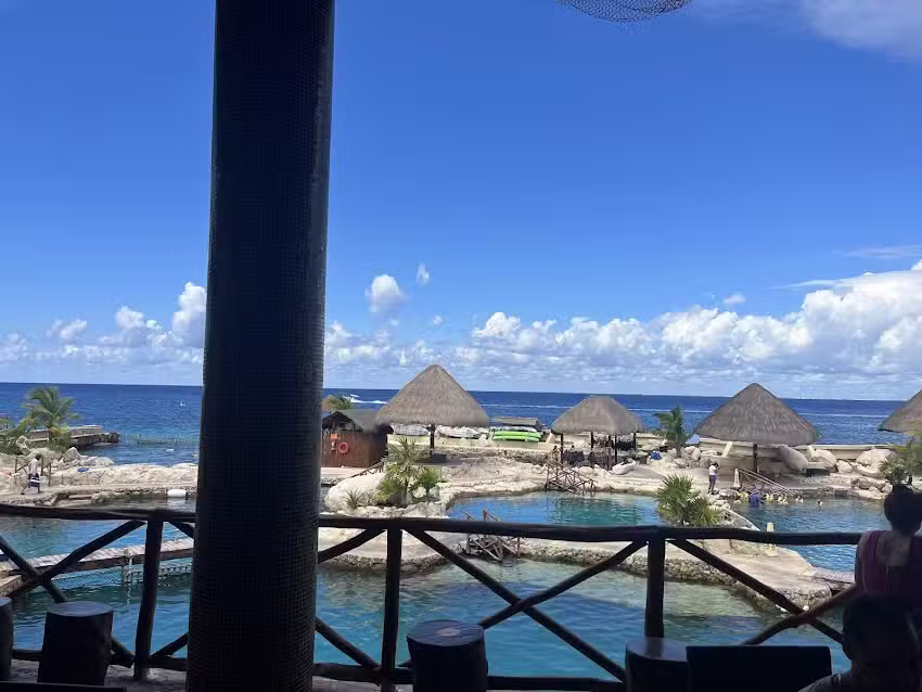 Brown&rsquo;s Travel Agency