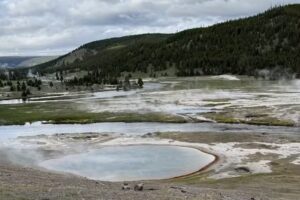 BrushBuck Wildlife Tours