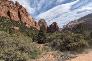 Bryce-Zion Trail Rides