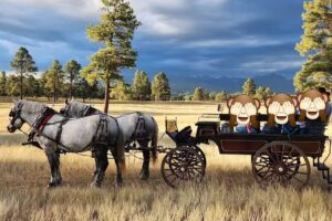 Buckaroos Horse-Drawn Rides