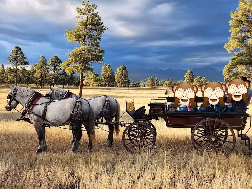 Buckaroos Horse-Drawn Rides