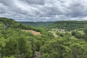 Buffalo River Cabins