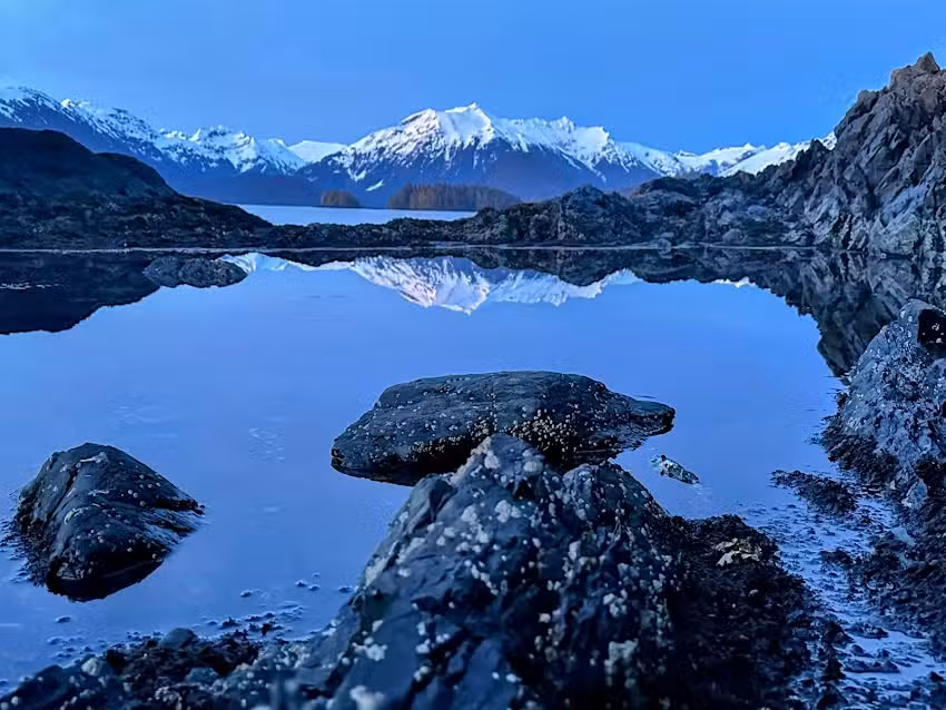 Bumble Expeditions LLC