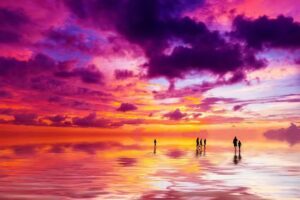 Burnin’ Turtle Travel