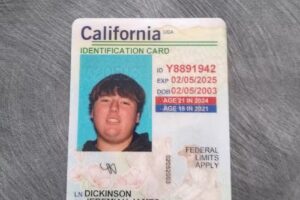 Buy Documents Online