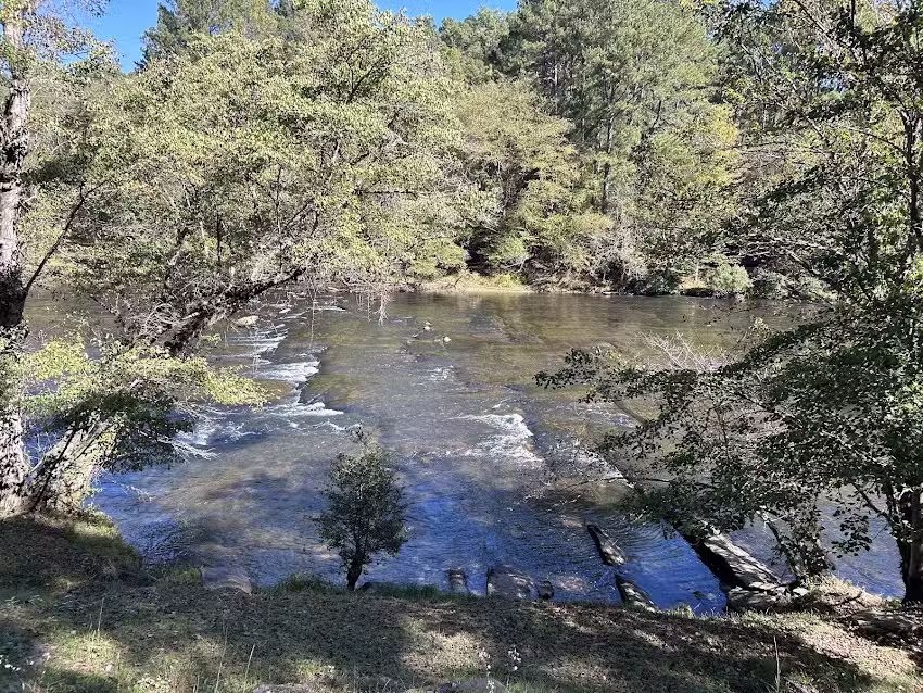 Cabin Rentals of Georgia