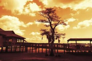 Cajun Expeditions, LLC