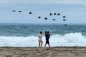 Camp Pendleton Visitor Center