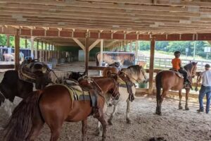 Canyon Creek Horseback Riding Stable