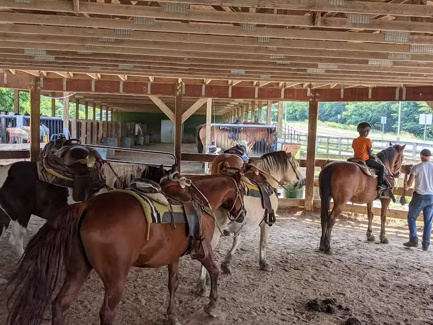 Canyon Creek Horseback Riding Stable