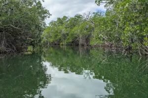 Cap’n Larry Jarboe