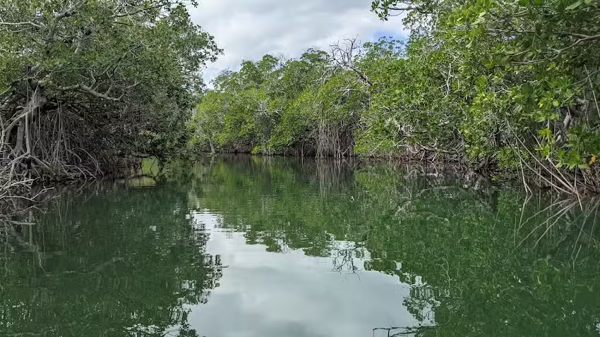 Cap&rsquo;n Larry Jarboe