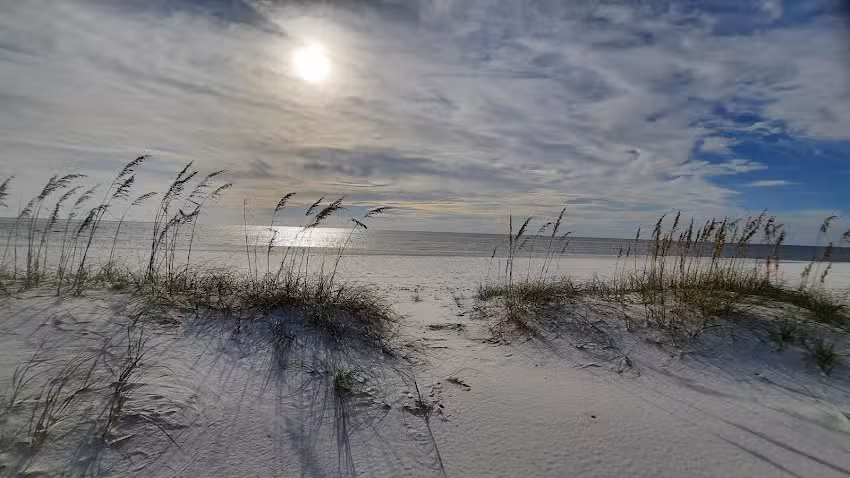 Cape Escape Vacation Rentals