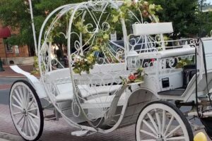Cape May Carriage LLC