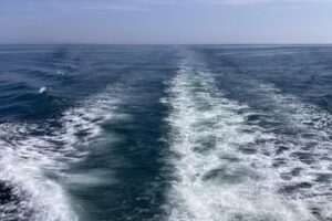 Cape May Whale Watch & Research Center