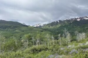 Capitol Peak Outfitters