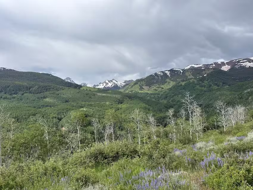 Capitol Peak Outfitters